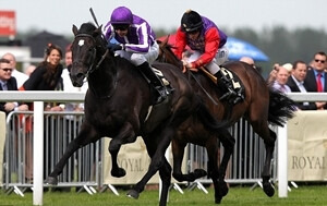 So You Think Royal Ascot 2